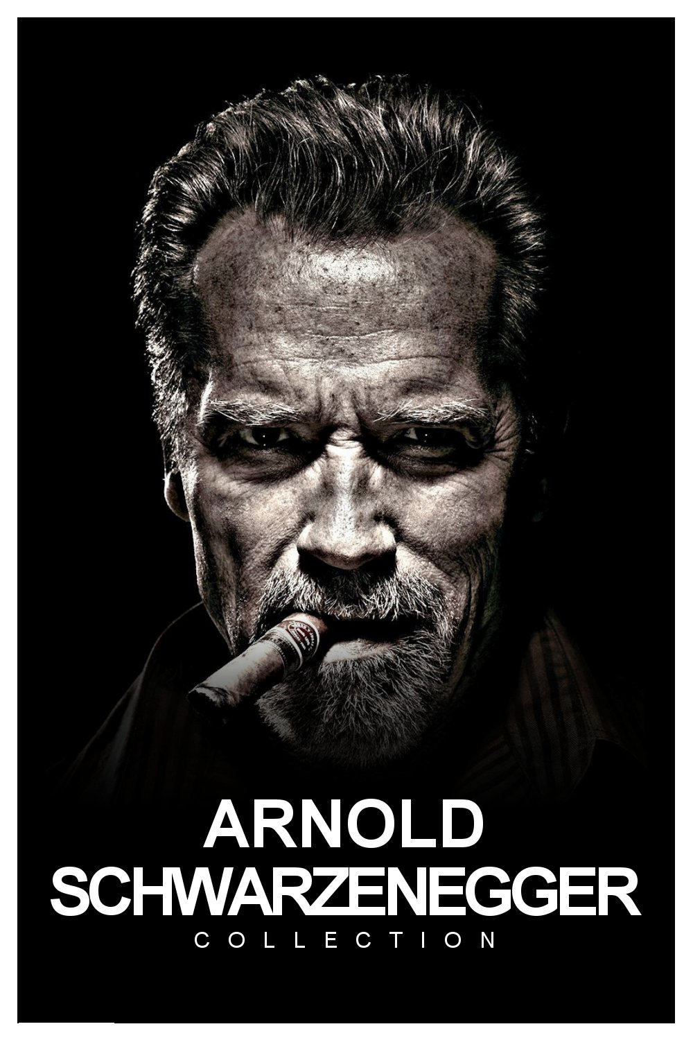 Arnold Schwarzenegger [242633] (A1635600015) Collection (Movies) --Plex--